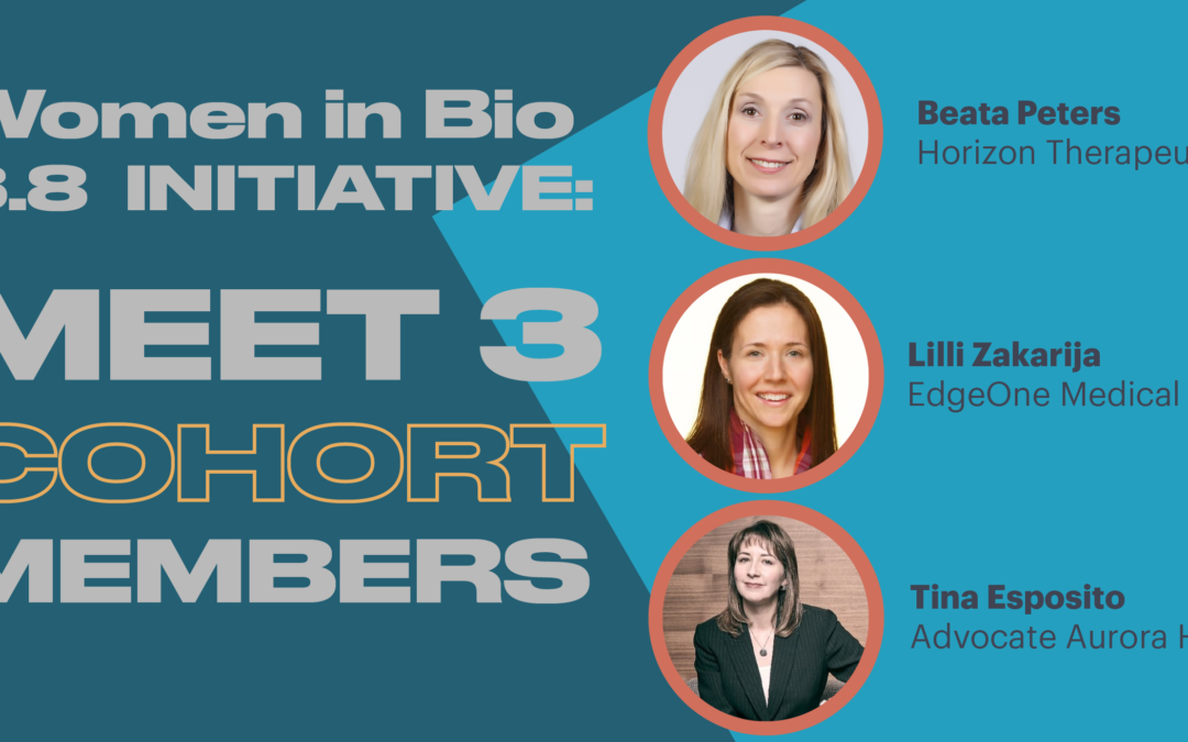 WIB – Chicago 3.8 Initiative Receiving Applications for 2021 Cohort