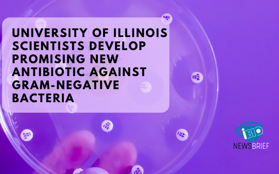 University of Illinois Scientists Develop “Smart” New Antibiotic Against Gram-Negative Bacteria